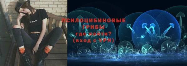 a pvp Богданович