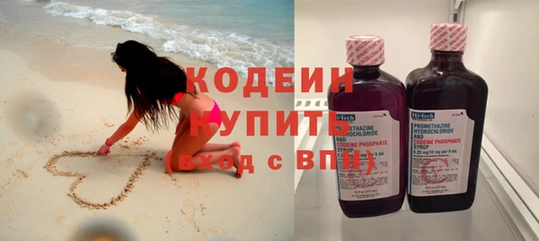 крисы Богородицк