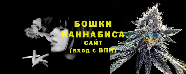 крисы Богородицк