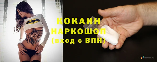 крисы Богородицк