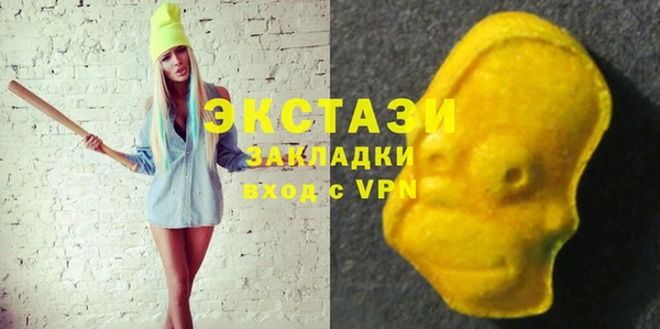 крисы Богородицк