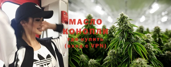 крисы Богородицк