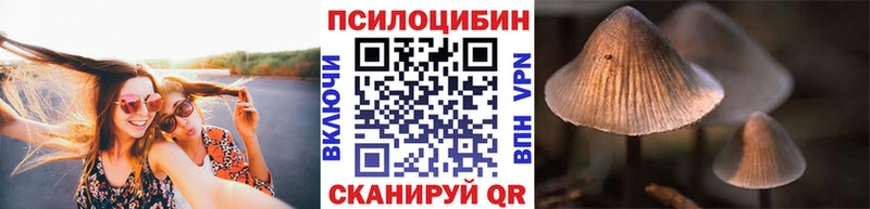 Псилоцибиновые грибы прущие грибы  цена наркотик  ОМГ ОМГ ТОР  Выборг 
